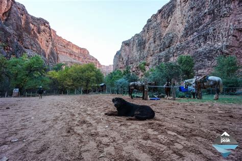 Hiking From Supai Village To Navajo, Havasu, and Mooney Falls - Trail to Peak