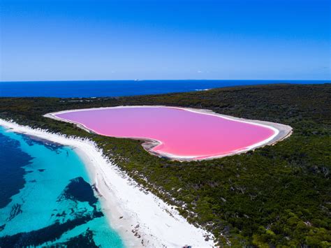 TRAVEL SERIES || Explore Western Australia's Must-See Sights — Pendulum