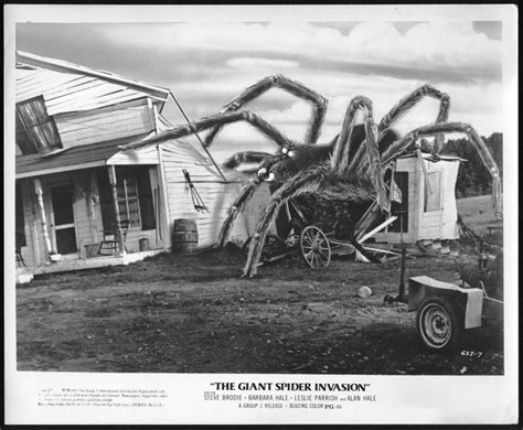 Details About Giant Spider Invasion 75 Horror Barbara Hale Orig