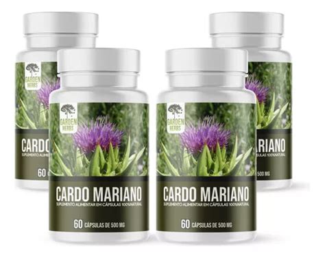 Cardo Mariano É Bom Para O Fígado - Cardo Mariano Em Cápsulas/500mg 4 Potes (bom P/ O Fígado ...