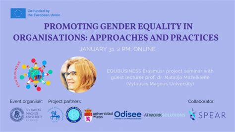 Promoting Gender Equality In Organisations Approaches And Practices