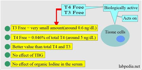 Thyroid Part 6 Thyroxine Free T4 Ft4