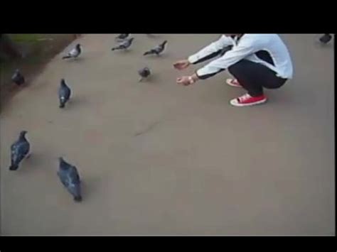 Japanese Gay Pornostar Koyama Junichi XVIDEOS