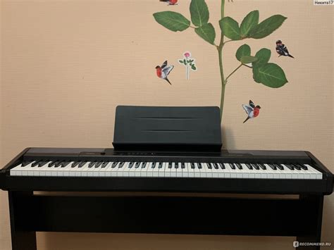 Цифровое пианино Casio CDP-100 - «Цифровое пианино Casio CDP-100 ...