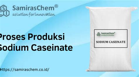 Proses Produksi Sodium Caseinate Ini Dibuat Dengan Susu