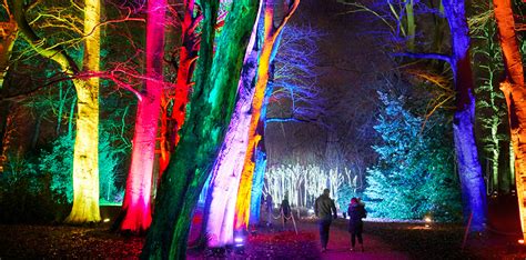 Christmas At Westonbirt Tickets Tours And Events Ticketek Uk