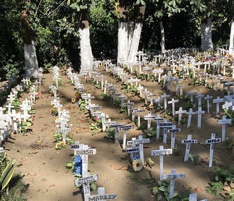 direito a funerAU cemitério de animais em Salvador tem rabecão