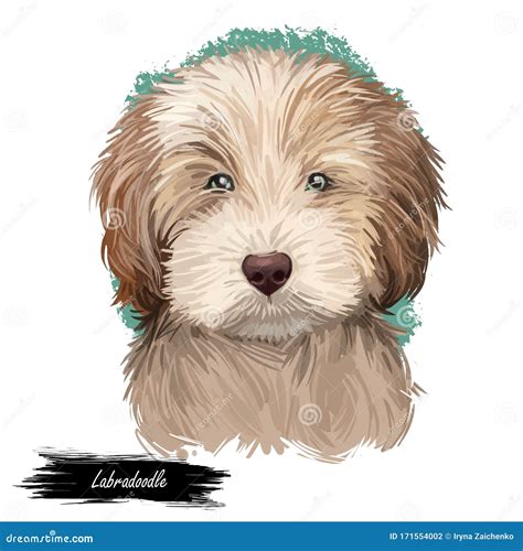 Labradoodle Dog Digital Art Illustration of Cute Canine Animal