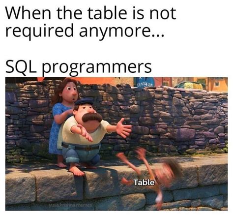 Drop Table Rprogrammerhumor