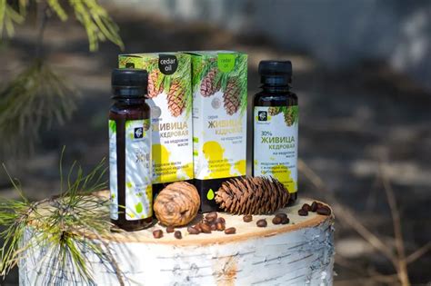 Кедрова смола: лечебни свойства и противопоказания, в масло, с прополис ...