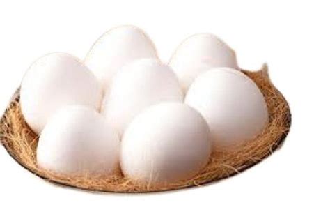 Chicken Origin Oval Shape Nutrient Enriched Poultry Farm Fresh Egg Egg Size Medium At Best