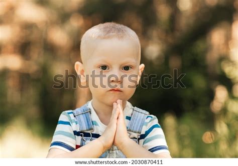Little Boy Todler Nature Summer Portrait Stock Photo 2030870411
