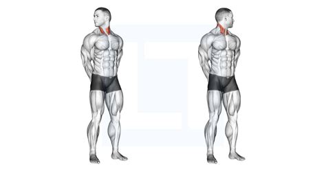 Neck Extension Stretch Guide Benefits And Form