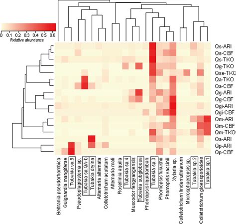 Fungal Core Map