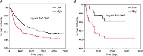 Figure 3 From Srsf1 Induces Glioma Progression And Has A Potential