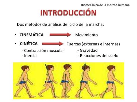 Biomecánica De La Marcha Humana