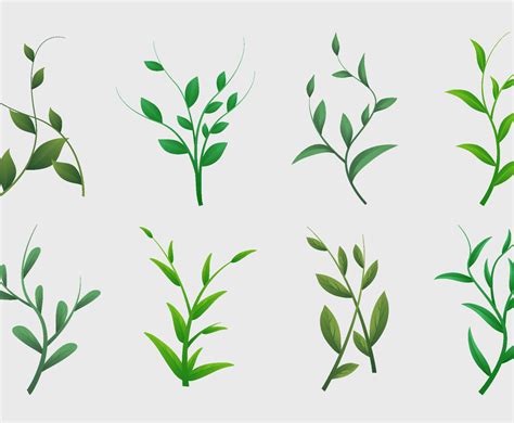 set  leaf spring element freevectors