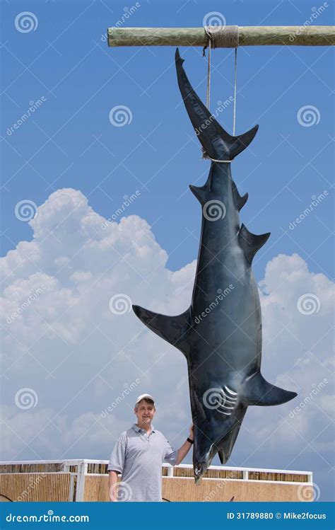 Pescador A Captura Gigante Do Tubar O De Mako Foto De Stock