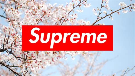 🔥 Free Download Supreme Wallpaper By Scisneros64 Wallpapersafari