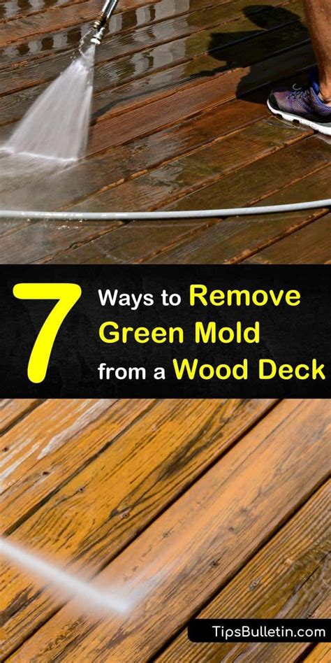 List Of How To Remove Mold From Wood Fence Ideas