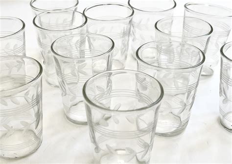 Vintage Cordial Glass Set 12 Floral Botanical Leaf Etched Shot Etsy