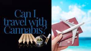 Traveling With Cannabis Essential Guide To Legal And Safe Transportation