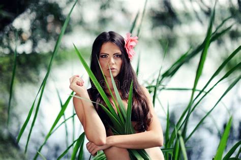 Femme Sexy De Brunette Dans L Eau Image Stock Image Du Beau Attrayant