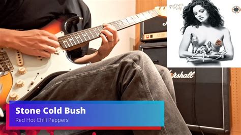 Stone Cold Bush Red Hot Chili Peppers Guitar Cover Youtube