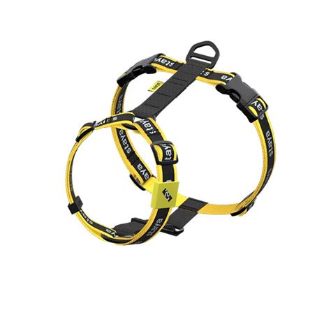 Амуниция и экипировка для собак | staya