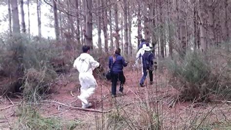 Reportan el hallazgo de dos cuerpos en sector forestal de Los Álamos