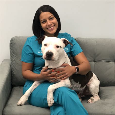 Fort Lauderdale Vet & Pet Emergency Hospital Customer - Best Emergency