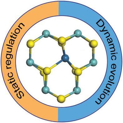 Static Regulation And Dynamic Evolution Of Singleatom Catalysts In