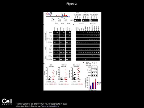 Volume 23, Issue 3, Pages (March 2013) - ppt download