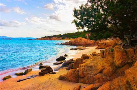 Sardenha Beaches The Most Beautiful Beaches In Sardinia Olivers
