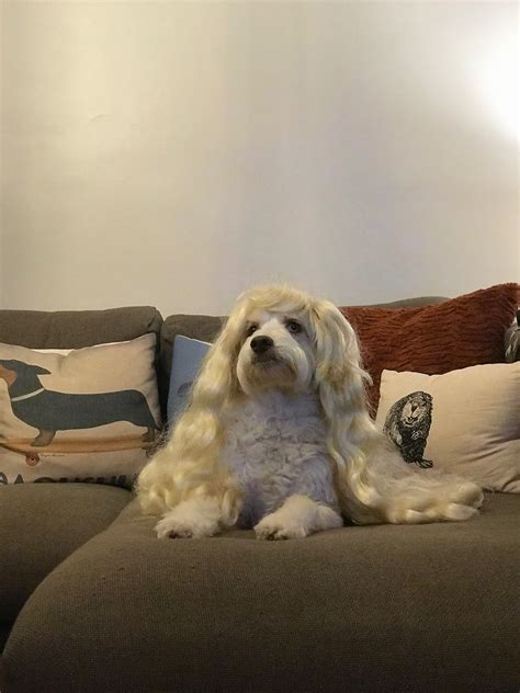 Baseball History: Reliving Bobby Thomson's Iconic Home Run