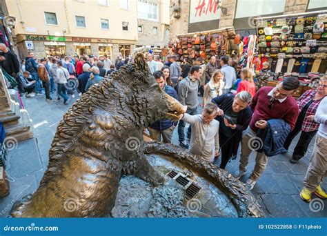 Il Porcellino Wild Boar Statue Sydney Hospital Australia Editorial ...