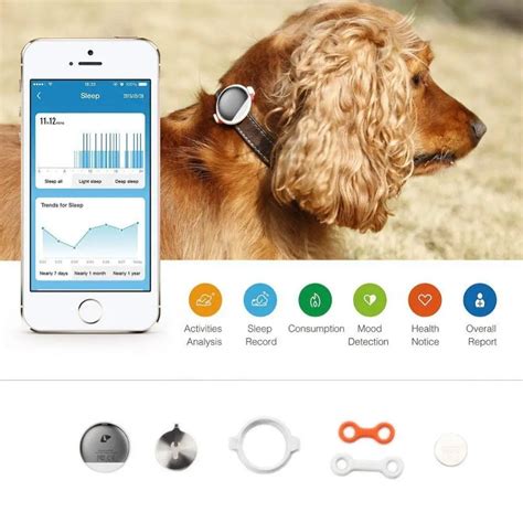 PETKIT P2 Smart Activity Monitoring Pet dog cat Tracker waterproof mini ...