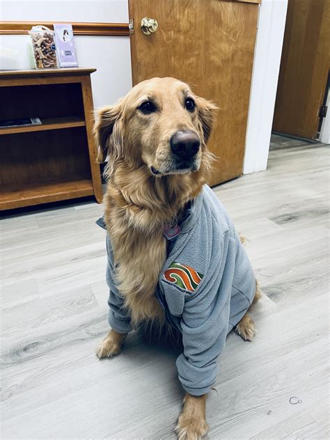 Triangle Veterinary... - Triangle Veterinary Hospital