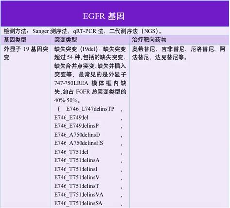 非小细胞肺癌egfr基因突变详细解读 哔哩哔哩