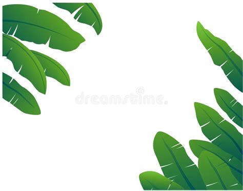 Banana Leaf Vector Picture Very Beautiful Stock Vector Illustration