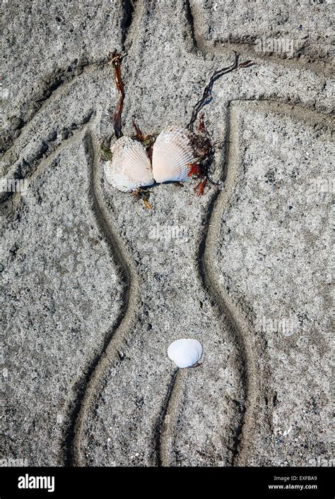 Bikini Am Strand Stockfotografie Alamy