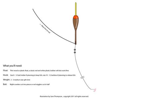 Bobber And Worm Fishing For Bluegills And Other Panfish Fish Whatcom