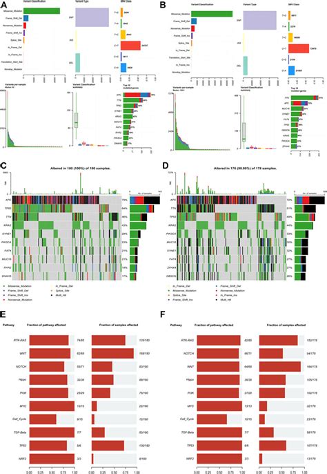 Frontiers Comprehensive Exploration Of Tumor Immune Microenvironment