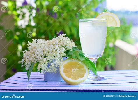 Lemonade Elderberry Flower Stock Image Image Of Macro 55087771