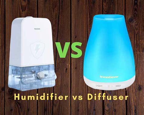 Humidifier Vs Diffuser Which Is Best For You