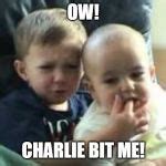 Charlie Bit My Finger Meme Generator - Imgflip