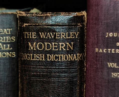 modern dictionary   days  deviantart
