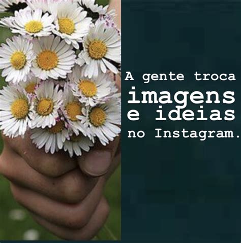 Blog De Luciano Siqueira Imagens E Ideias