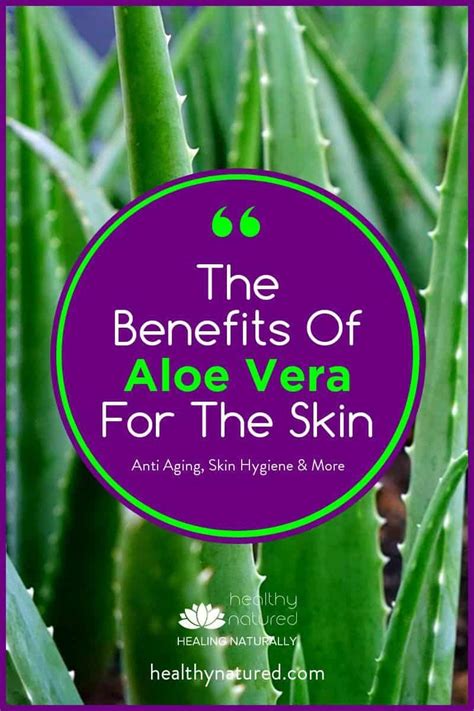 Amazing Benefits Of Aloe Vera Skin Care A Healing Guide Aloe Vera