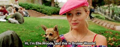 Life Lessons From Legally Blonde Teen Vogue